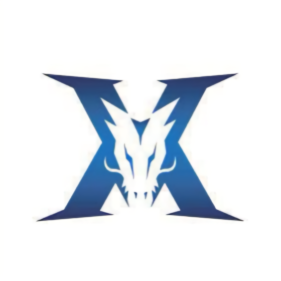 在过去的几 在过去的几